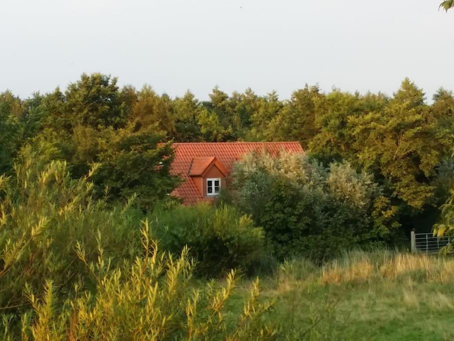 Altneukoog Apartment